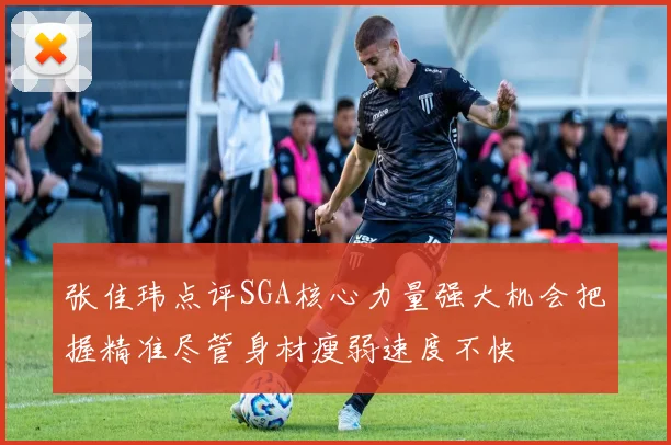 张佳玮点评SGA核心力量强大机会把握精准尽管身材瘦弱速度不快